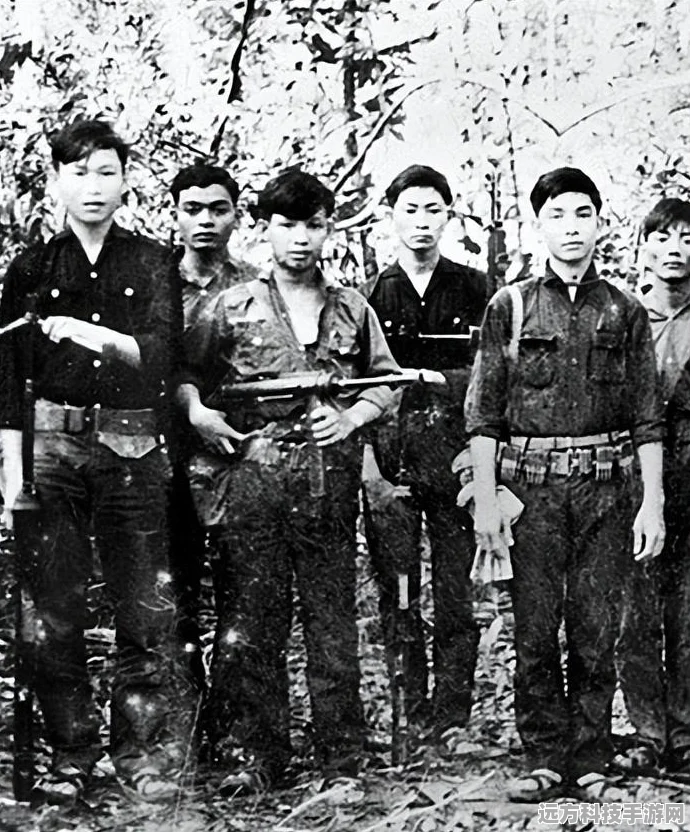 三角洲行动新手宝典，解锁武器改装新境界