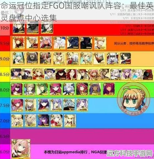 命运冠位指定FGO国服嘲讽队阵容，顶尖英灵深度解析
