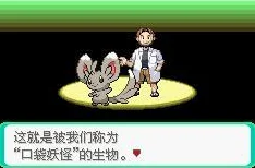 口袋妖怪漆黑的魅影，三周目探险全攻略