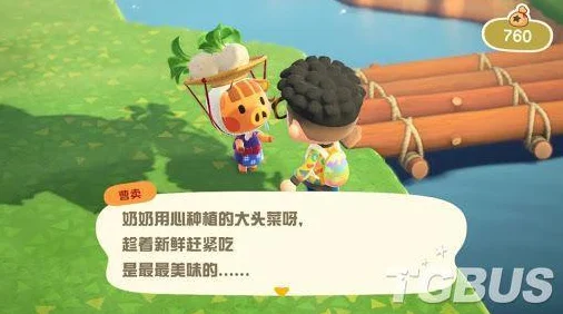 动物森友会大头菜购买指南，揭秘神秘商人曹卖