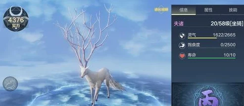 妄想山海，念奴儿宠物喂养全攻略与游戏深度探索