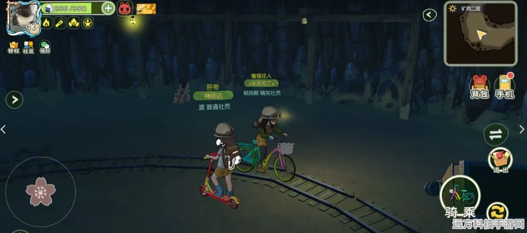 小森生活探索指南，朝晖森林与沉睡矿洞资源全揭秘