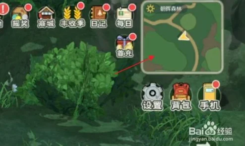小森生活探索指南，朝晖森林与沉睡矿洞资源全揭秘