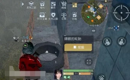 黎明觉醒，平原藏宝图全揭秘，探险家必备指南