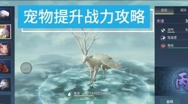 妄想山海宠物寿命提升全攻略