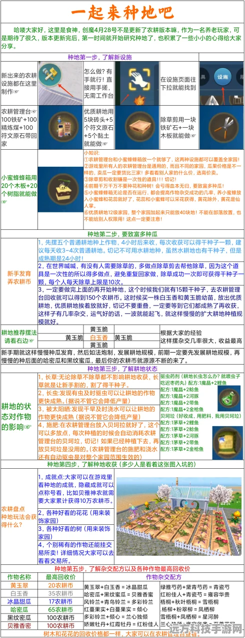 揭秘创造与魔法琼娥价格，珍贵伙伴的金币之谜