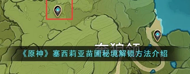 原神秘境探索，塞西莉亚花圃解锁全攻略，图文并茂带你征服难关