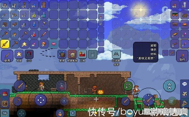 泰拉瑞亚宝藏袋获取秘籍，探索与收集的冒险之旅