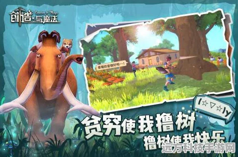 创造与魔法探索之旅，揭秘椰子树最多的宝藏之地
