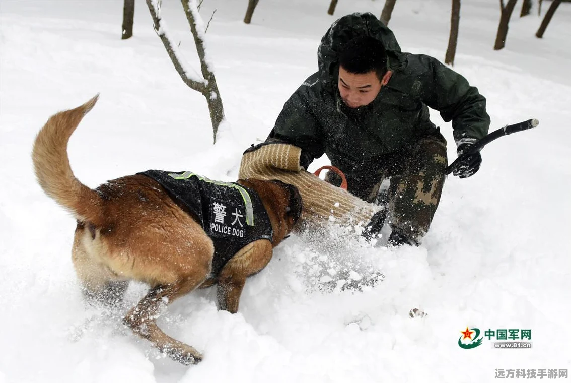 雪地奇兵，绝地求生刺激战场雪地地图制胜秘籍