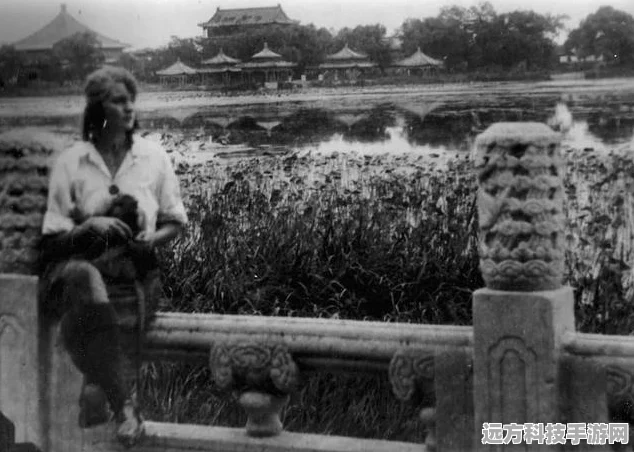 创造与魔法，揭秘融合宠物石的奇幻之旅