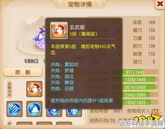梦幻西游手游，全红群法宠物价值深度剖析