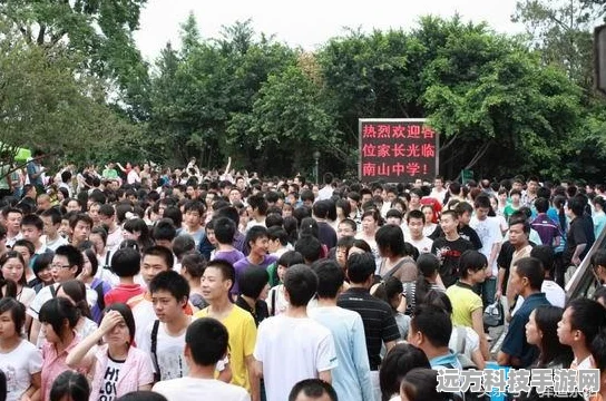 三国烽火再起，战略版鏖战战报全揭秘，细节与策略的艺术