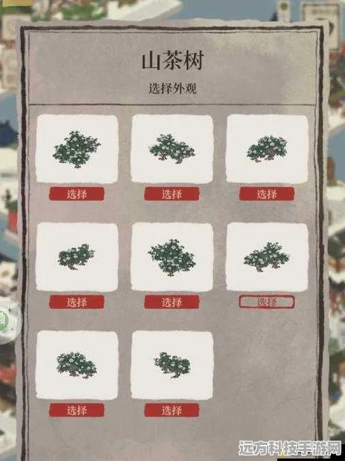 揭秘江南百景图，参天巨松背后的奇幻秘密
