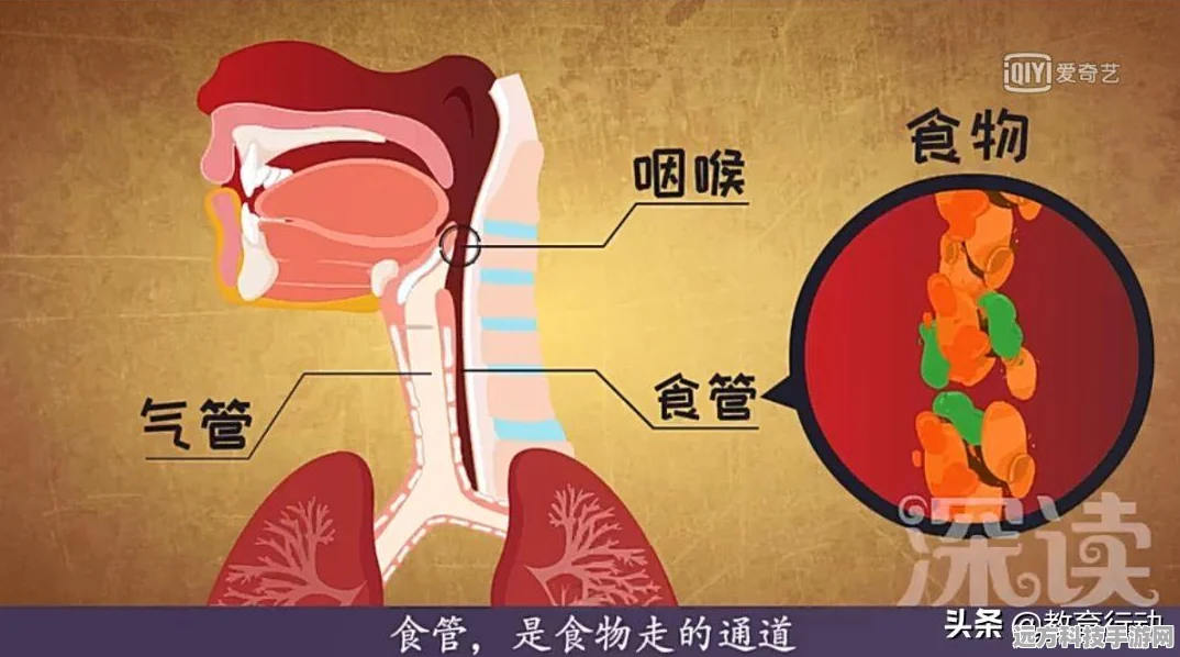 食物语QQ号与微信账号互通问题详解