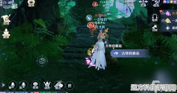 梦幻新诛仙，死亡沼泽标志风景全揭秘，位置地点大起底