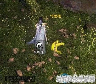 天涯明月刀航海节醉蟹之钳任务全攻略