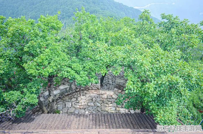 桃源深处有人家，揭秘星斗入拓任务的奇幻之旅