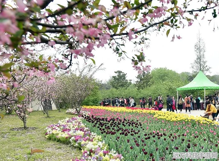 我的世界，解锁烟花盛宴，揭秘无限绽放的奇幻之旅