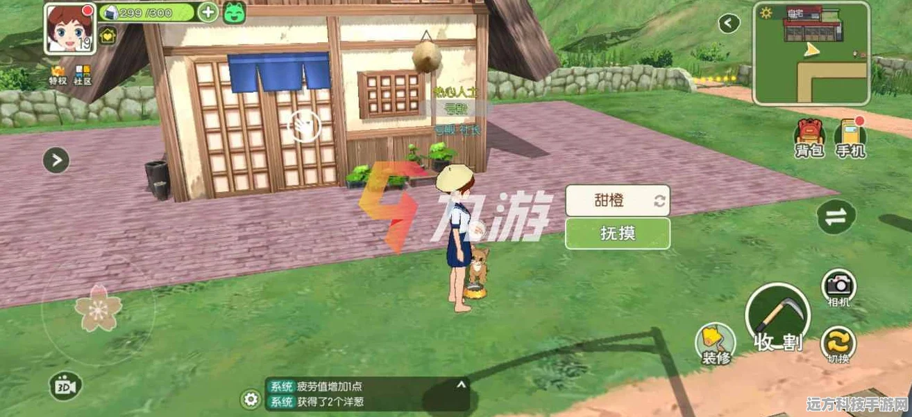 小森生活，打造你的梦幻家园，房子外观改造全攻略