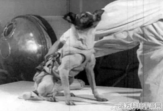 迷你世界，解锁未知，踏上奇妙探索之旅