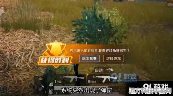 和平精英前五名提示框关闭攻略，玩家必备技巧
